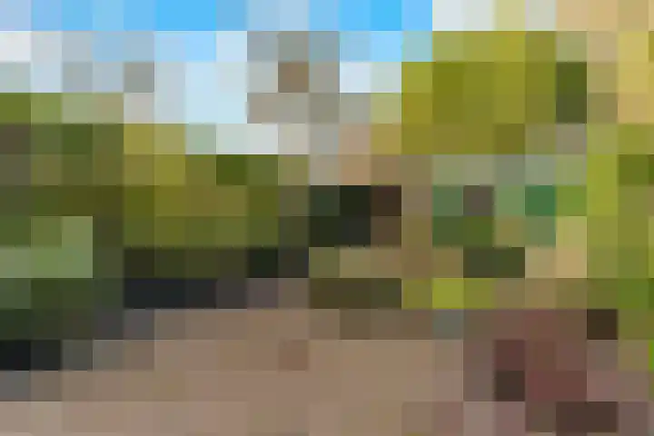 Drie Jofferengaarde 7 Odijk thumbnail 39