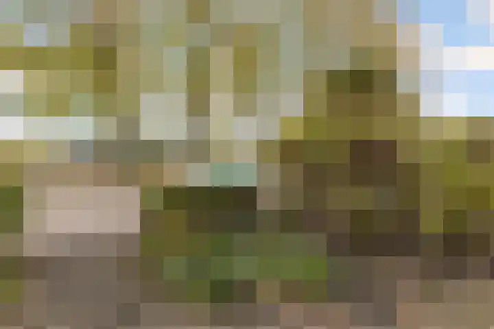 Drie Jofferengaarde 7 Odijk thumbnail 4