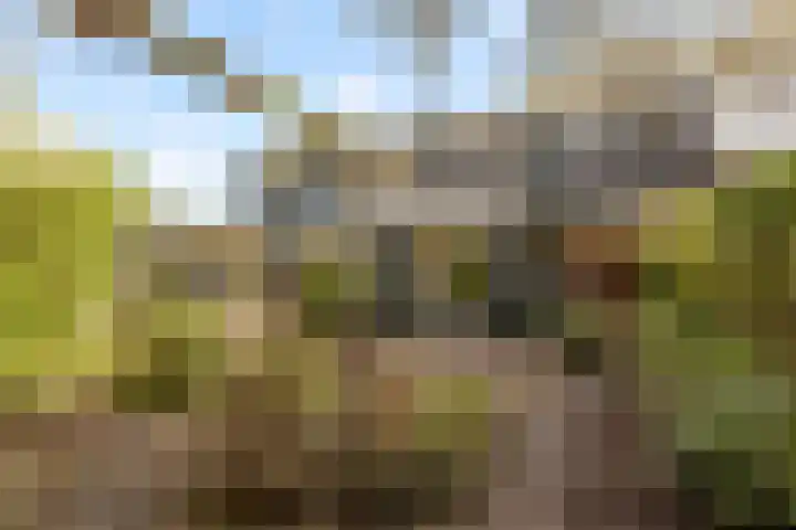 Drie Jofferengaarde 7 Odijk thumbnail 40