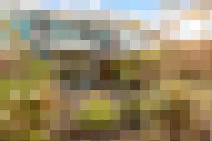 Drie Jofferengaarde 7 Odijk thumbnail 42