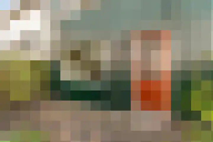 Drie Jofferengaarde 7 Odijk thumbnail 5
