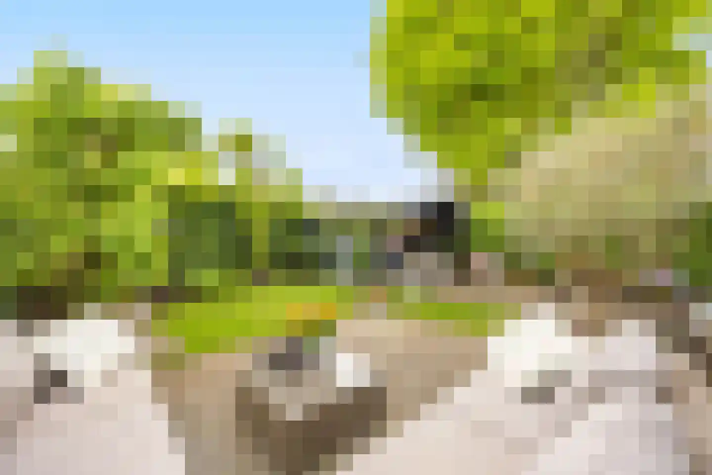 Drie Kampjes 7 Loosdrecht thumbnail 19