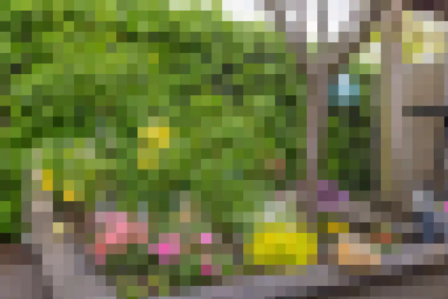Drie Kampjes 7 Loosdrecht thumbnail 24