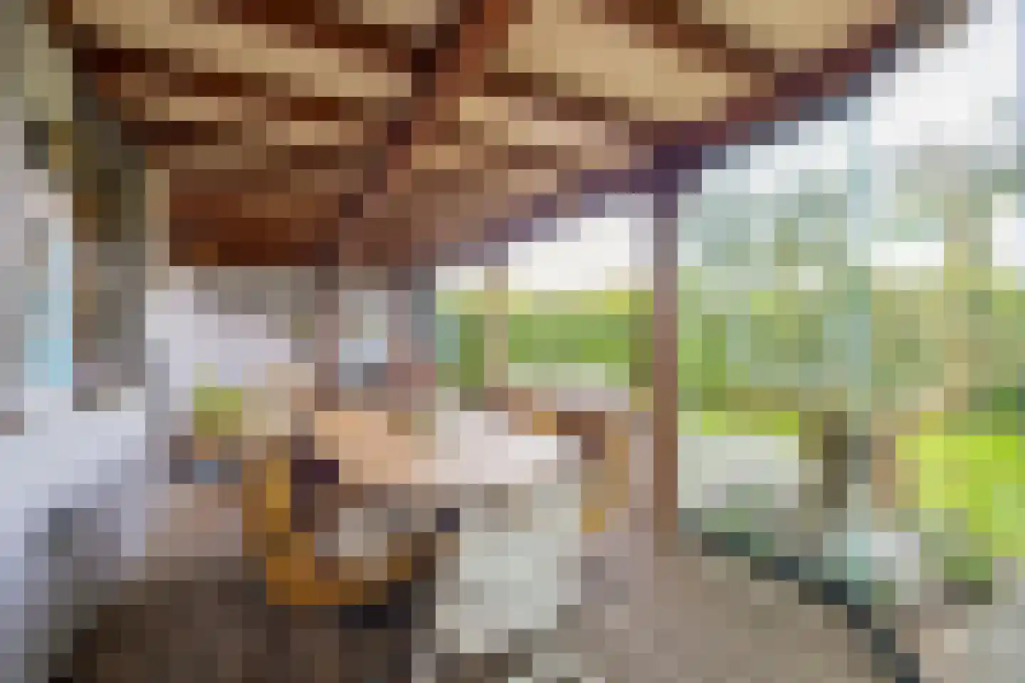 Drie Kampjes 7 Loosdrecht thumbnail 27