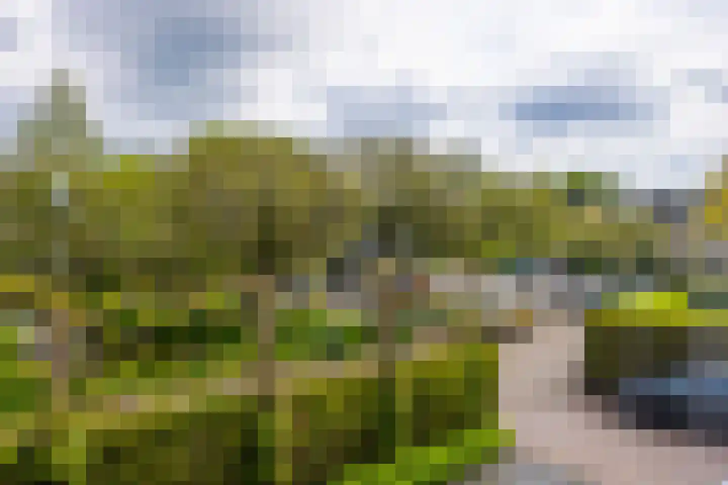 Drie Kampjes 7 Loosdrecht thumbnail 59