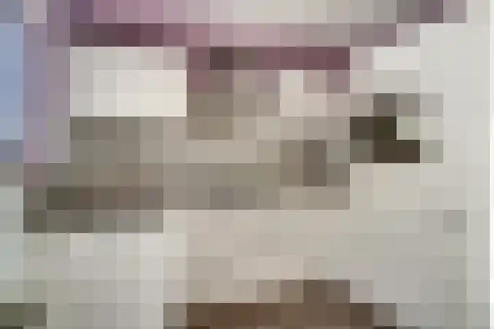 Drie Kolken 5 Lobith thumbnail 16