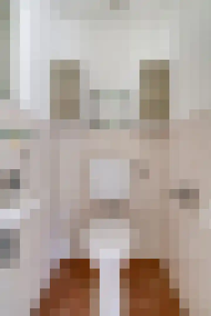 Drie Kolken 5 Lobith thumbnail 17