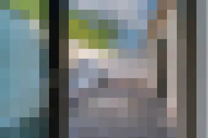 Drie Kolken 5 Lobith thumbnail 20