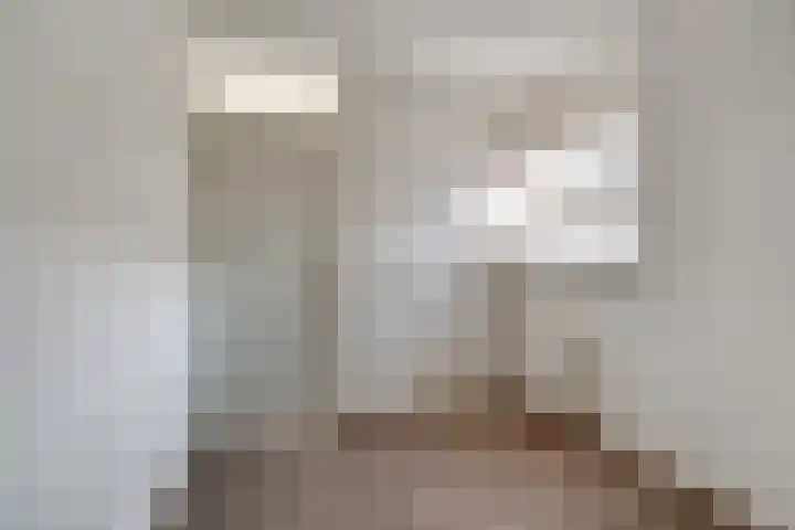 Drie Kolken 5 Lobith thumbnail 28