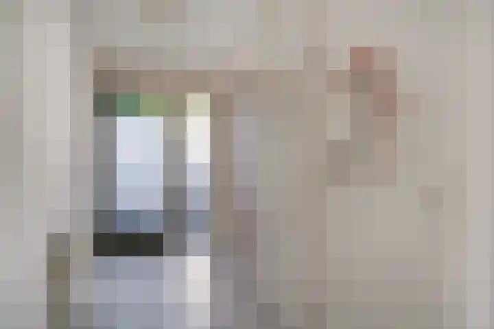 Drie Kolken 5 Lobith thumbnail 29