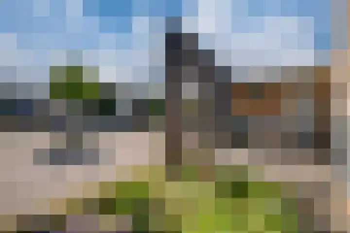 Drie Kolken 5 Lobith thumbnail 4