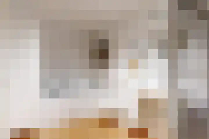Drie Kolommenplein 7 Aalsmeer thumbnail 10