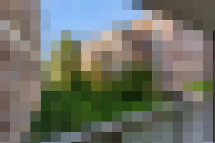 Drie Kolommenplein 7 Aalsmeer thumbnail 18