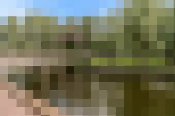 Drie Kolommenplein 7 Aalsmeer thumbnail 23