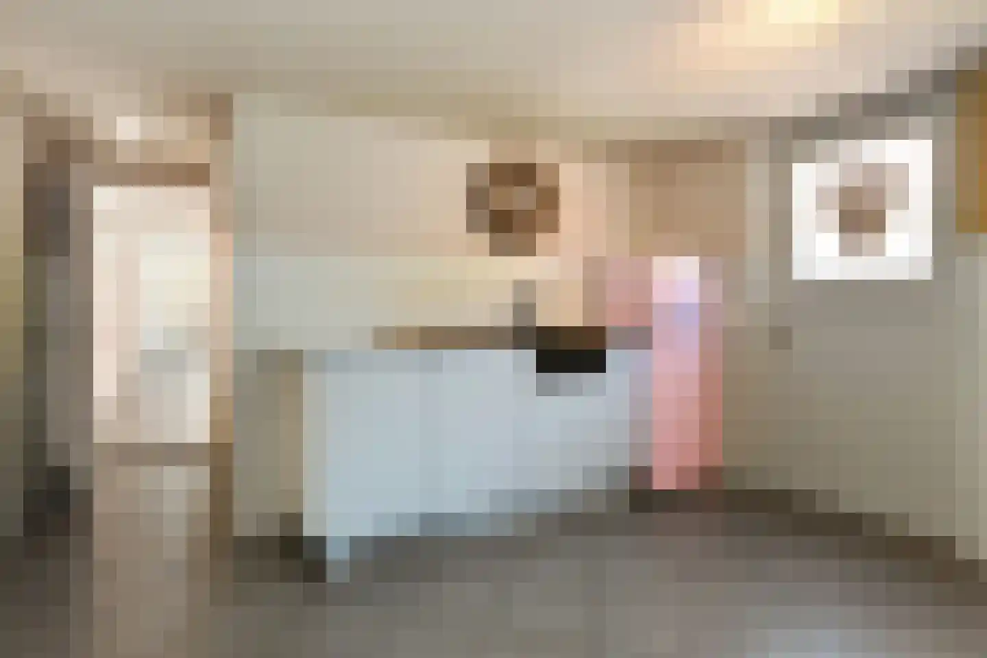 Drie Kooienweg 16 Evertsoord thumbnail 10