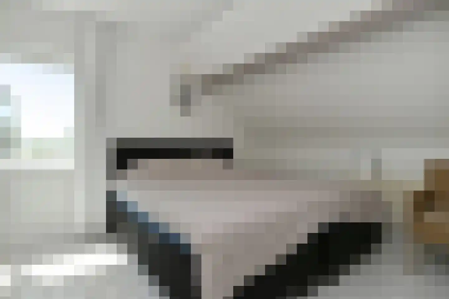 Drie Kooienweg 16 Evertsoord thumbnail 18