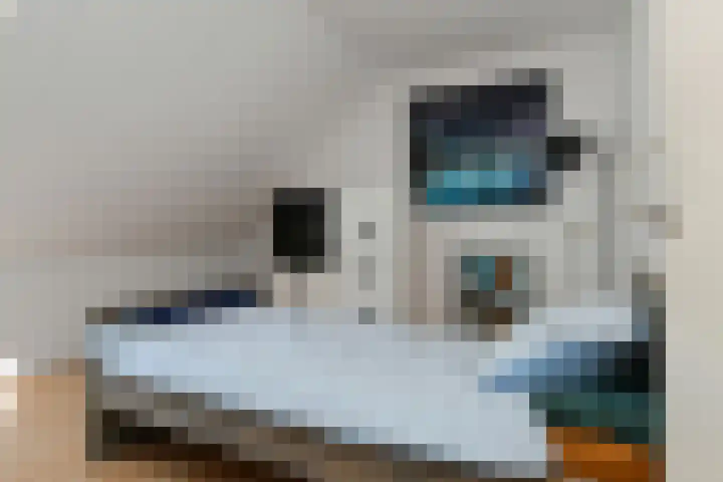 Drie Kooienweg 16 Evertsoord thumbnail 19