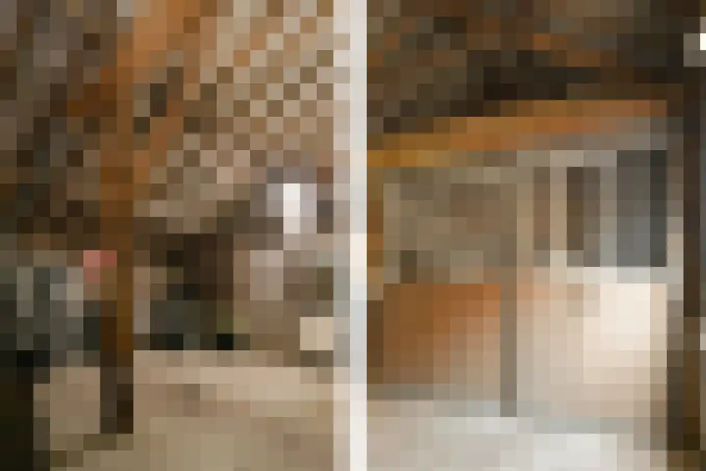 Drie Kooienweg 16 Evertsoord thumbnail 32