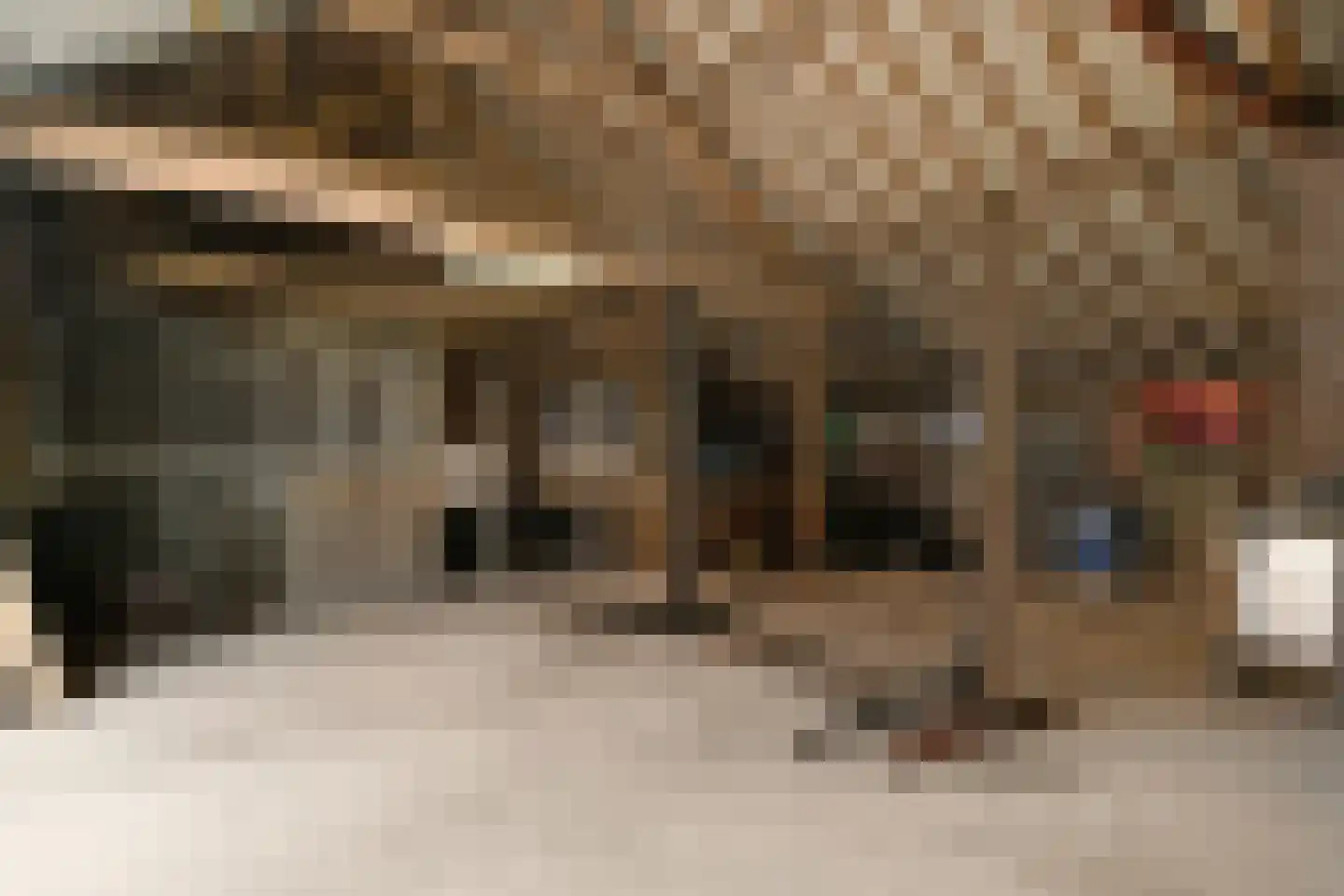Drie Kooienweg 16 Evertsoord thumbnail 33