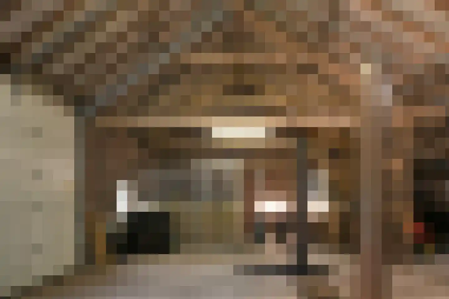 Drie Kooienweg 16 Evertsoord thumbnail 34