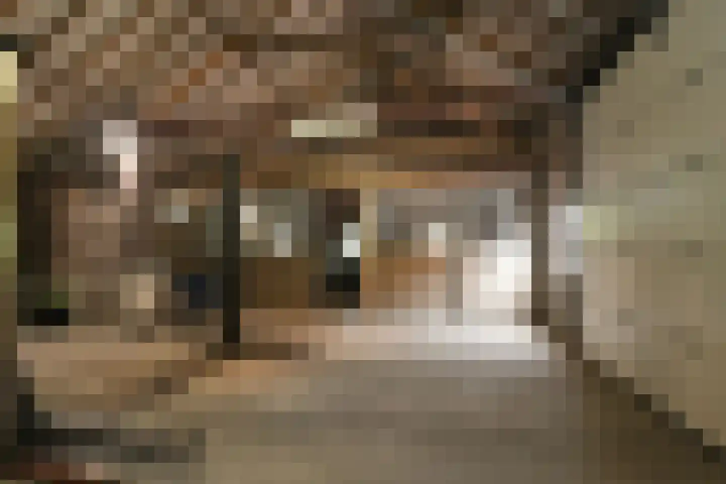 Drie Kooienweg 16 Evertsoord thumbnail 35