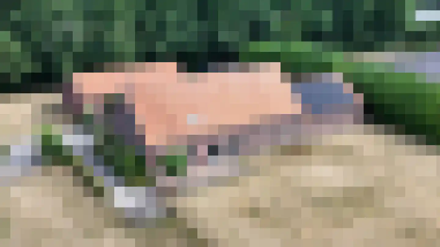 Drie Kooienweg 16 Evertsoord thumbnail 4