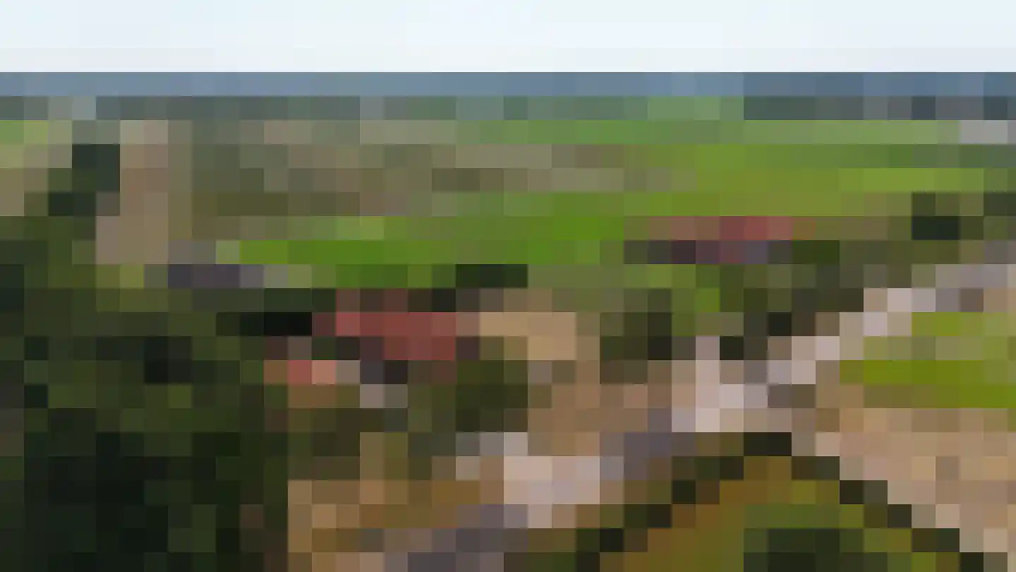 Drie Kooienweg 16 Evertsoord thumbnail 43