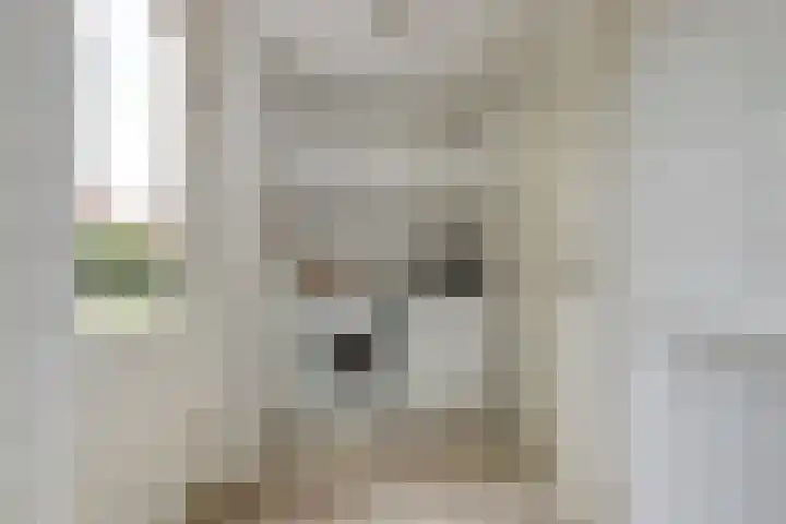 Drie Minuten 17 Krabbendijke thumbnail 28
