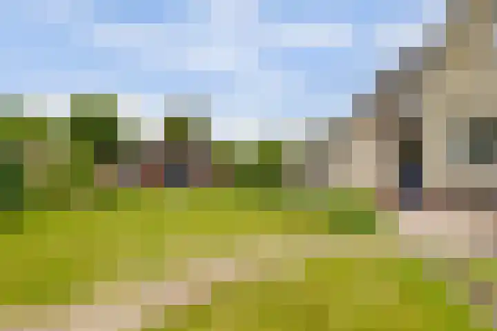 Drie Minuten 17 Krabbendijke thumbnail 32