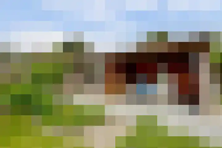 Drie Minuten 17 Krabbendijke thumbnail 36