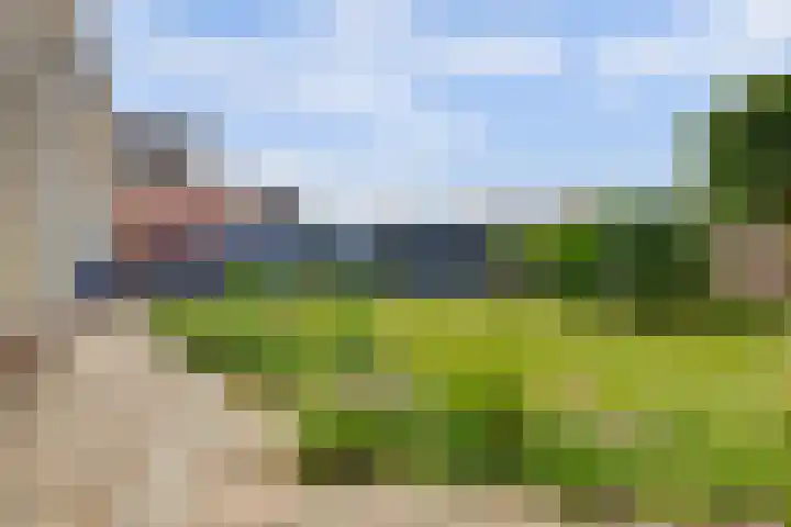 Drie Minuten 17 Krabbendijke thumbnail 37