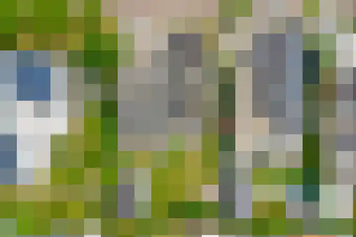 Drie Minuten 17 Krabbendijke thumbnail 40