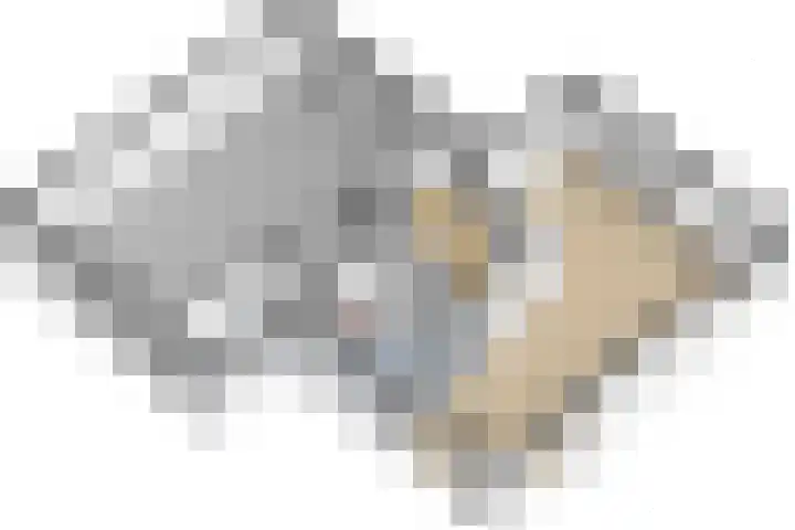 Drie Minuten 17 Krabbendijke thumbnail 47