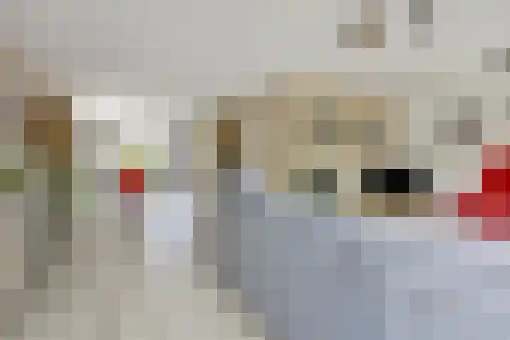 Drie Minuten 17 Krabbendijke thumbnail 7