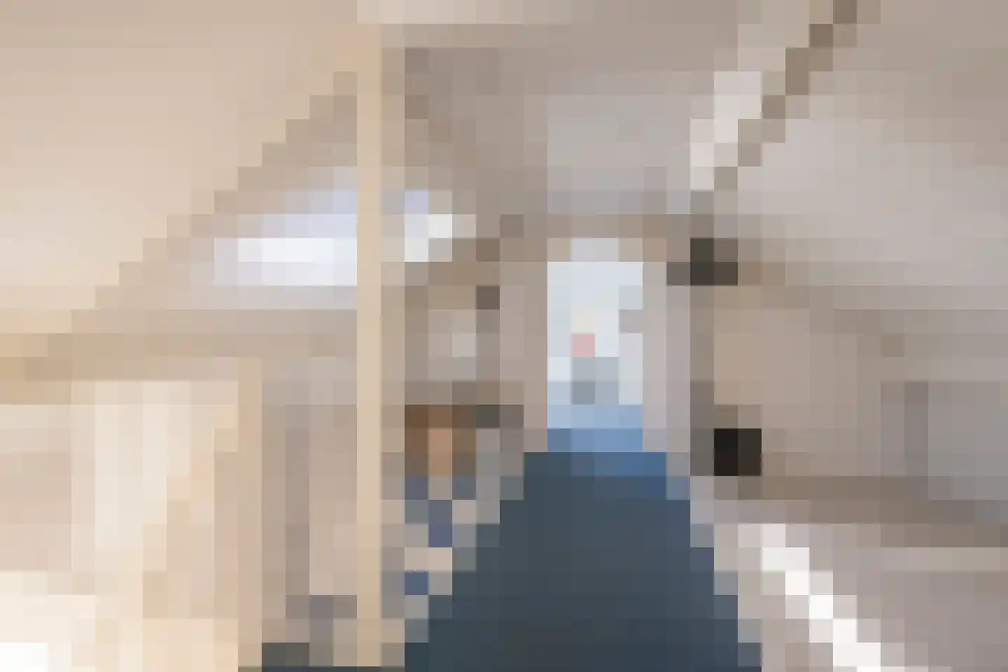 Drie Morgenland 1 b Nijkerk thumbnail 26