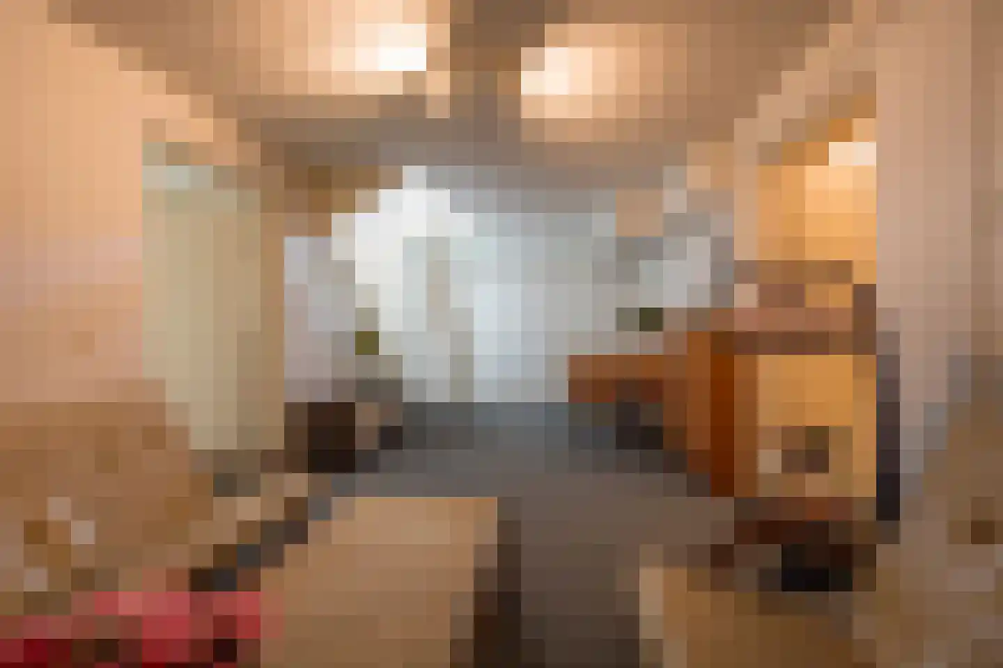 Drie Morgenland 1 b Nijkerk thumbnail 32