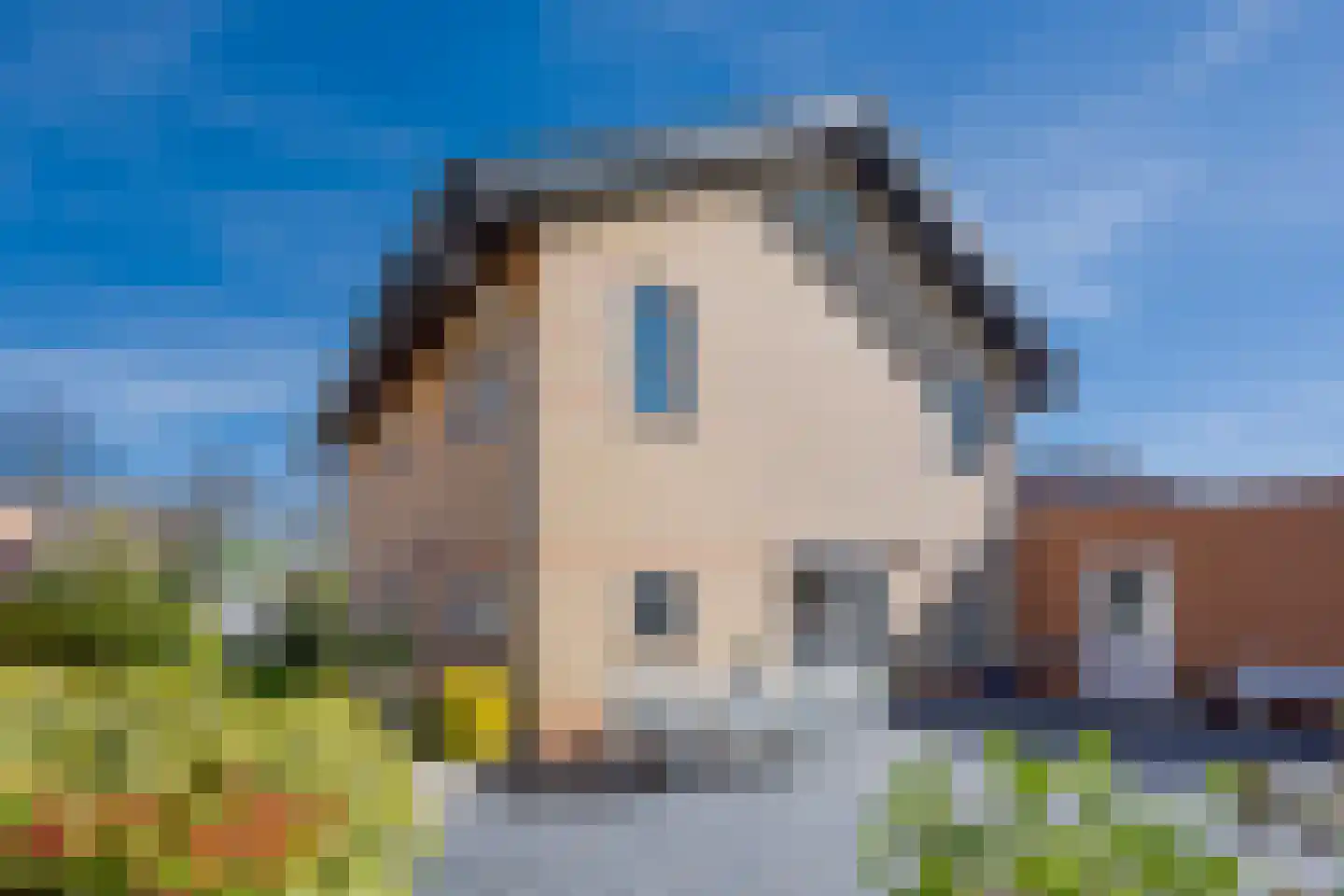 Drie Morgenland 1 b Nijkerk thumbnail 36