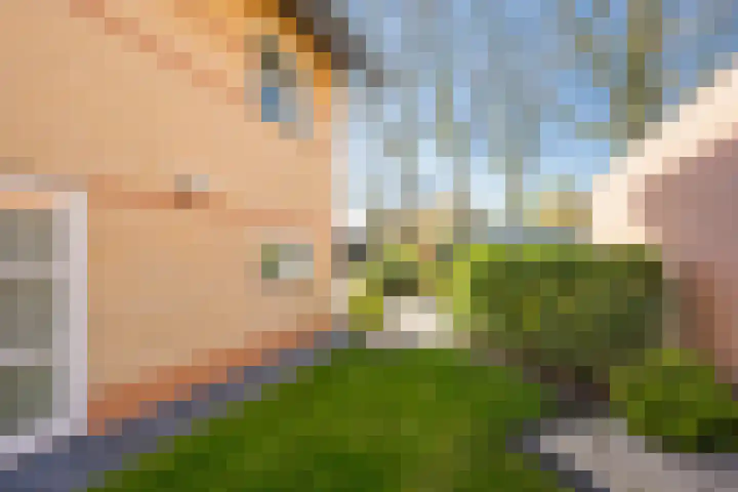 Drie Morgenland 1 b Nijkerk thumbnail 40