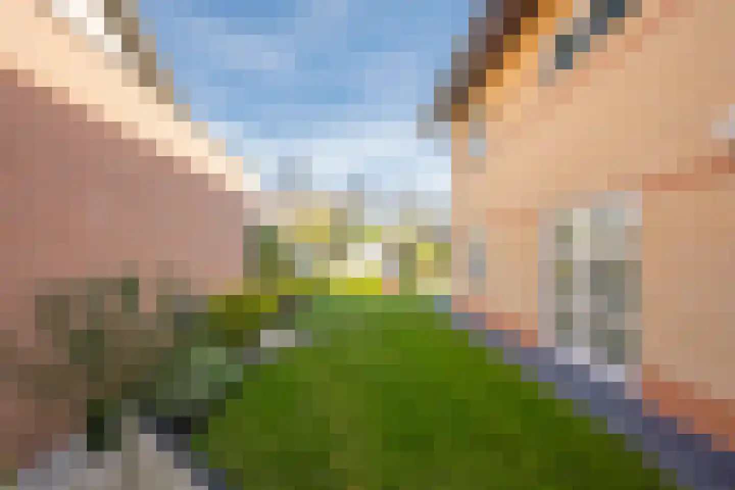 Drie Morgenland 1 b Nijkerk thumbnail 41