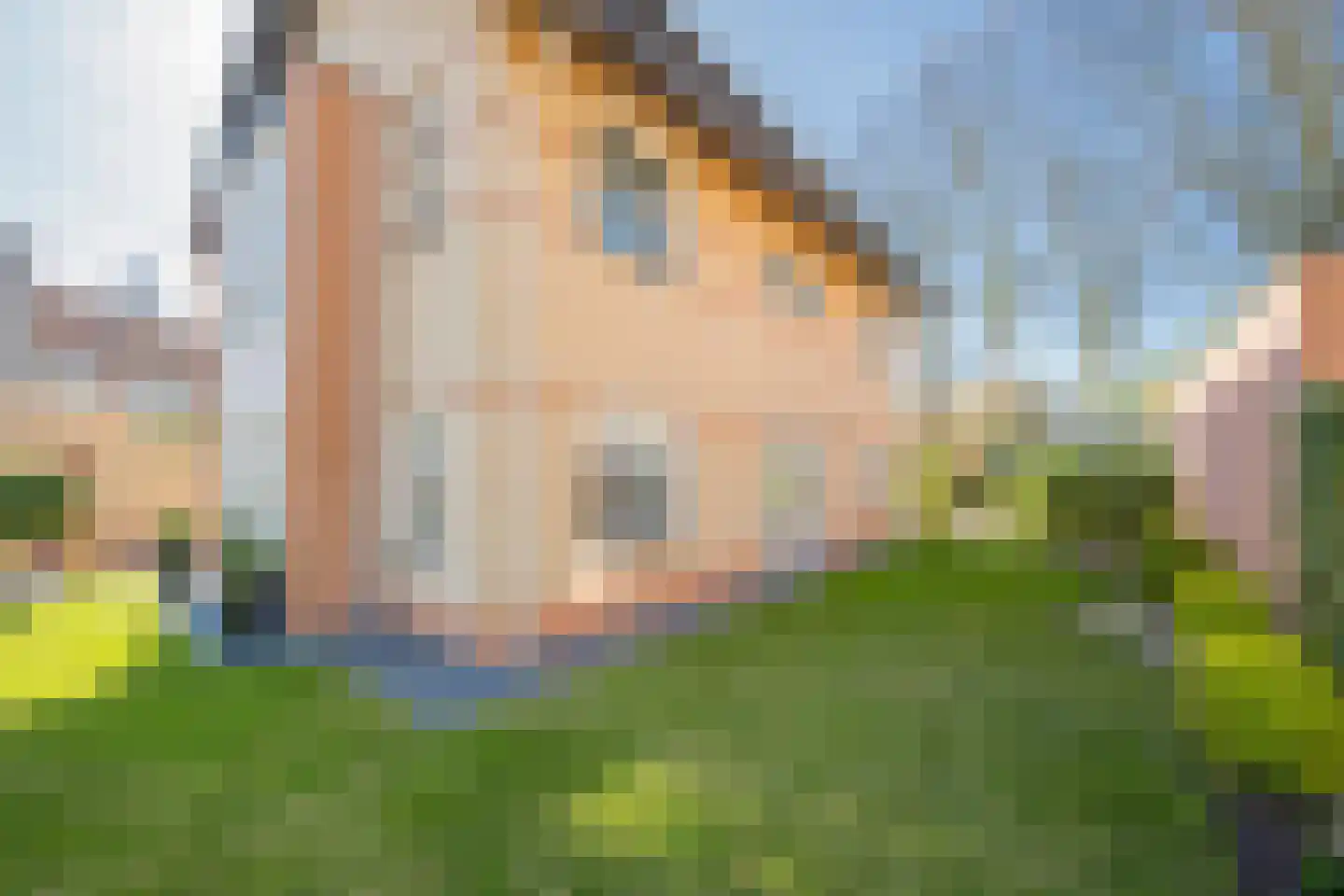 Drie Morgenland 1 b Nijkerk thumbnail 42