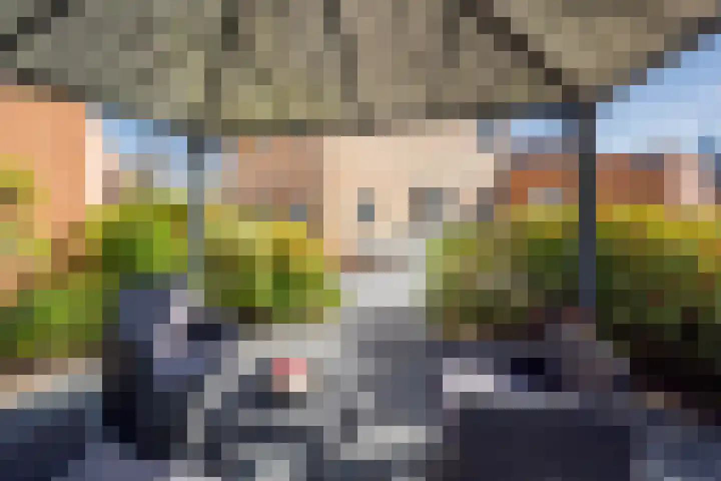 Drie Morgenland 1 b Nijkerk thumbnail 5