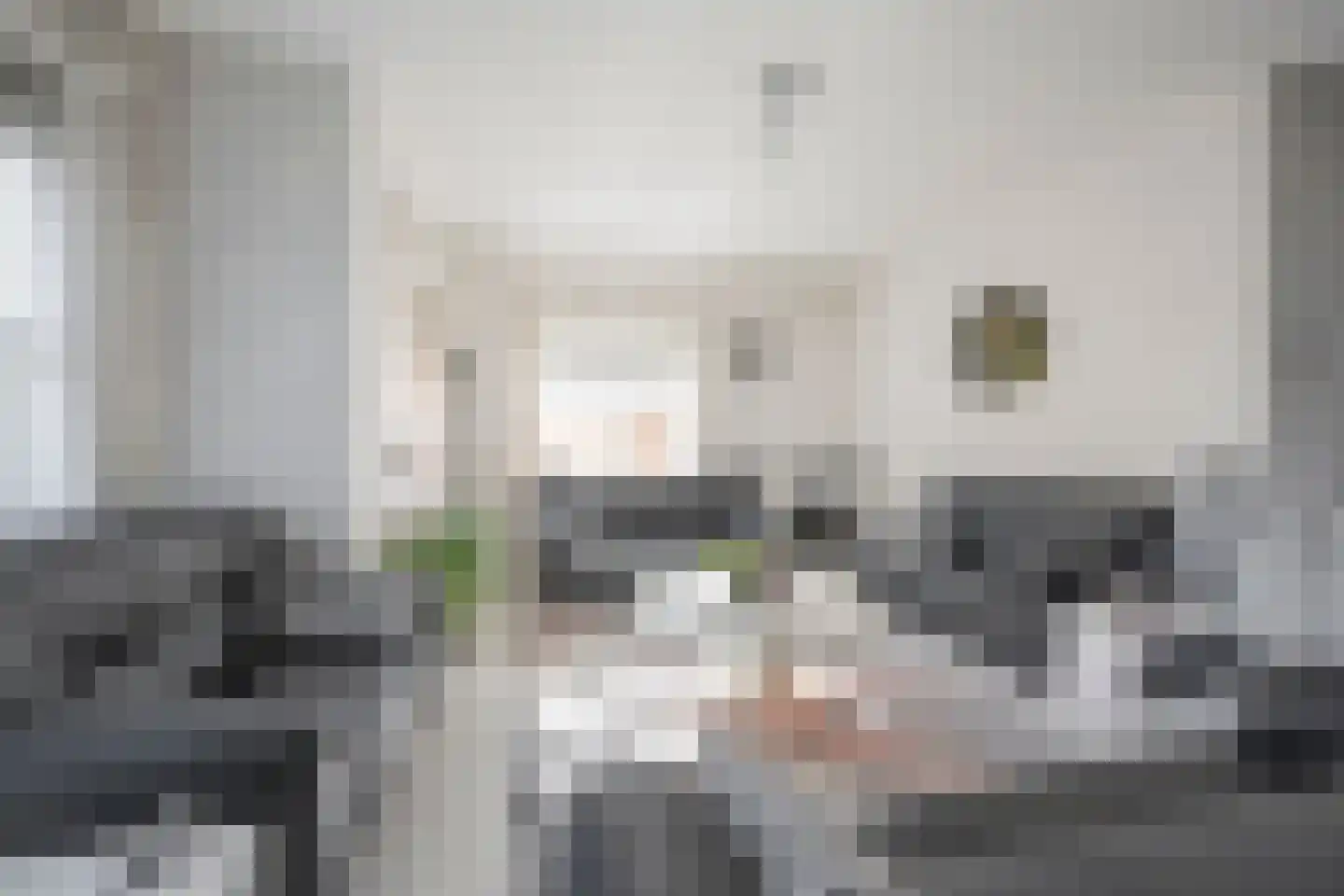 Drie Morgenland 1 b Nijkerk thumbnail 9
