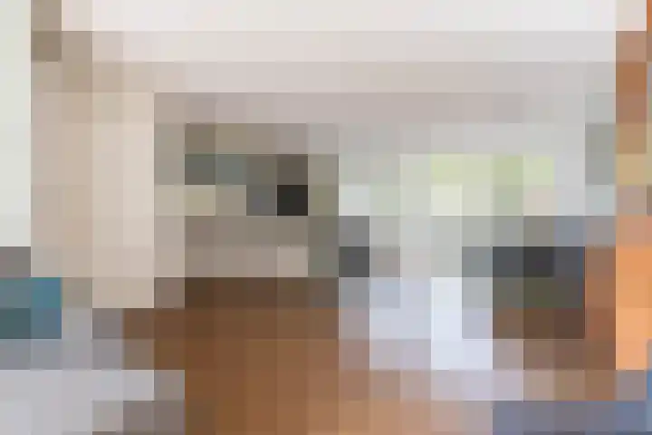 Drie Morgenland 19 Nijkerk thumbnail 14