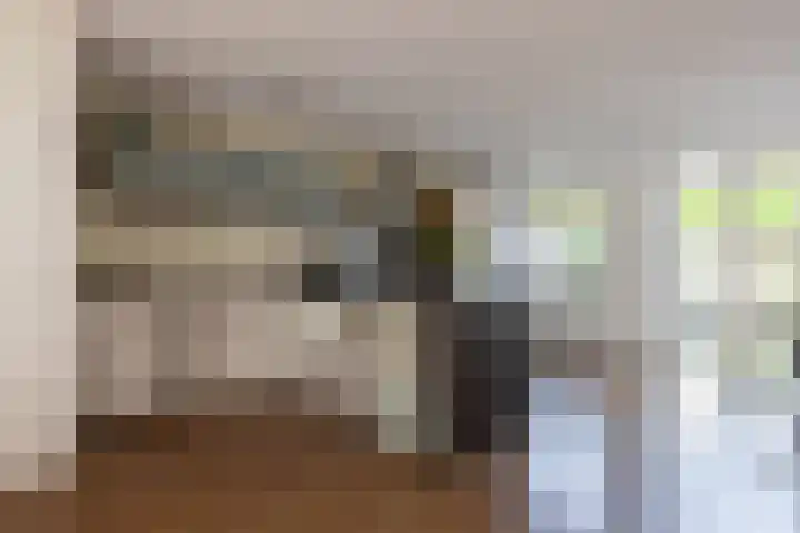 Drie Morgenland 19 Nijkerk thumbnail 15