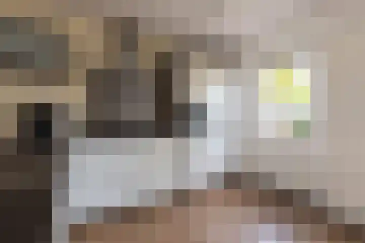 Drie Morgenland 19 Nijkerk thumbnail 16