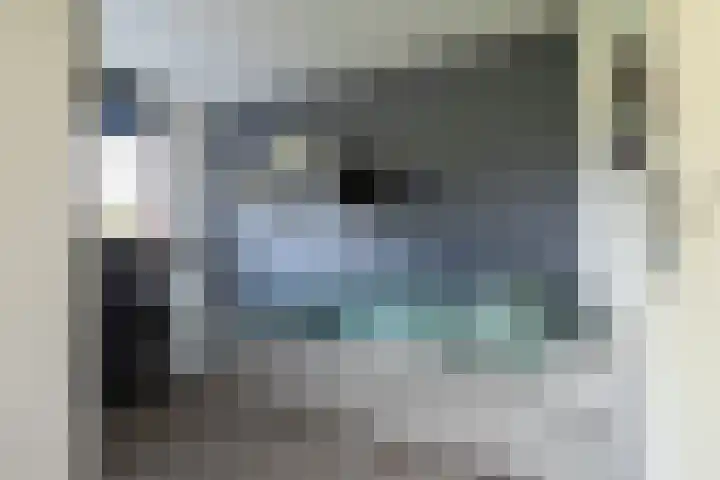 Drie Morgenland 19 Nijkerk thumbnail 24