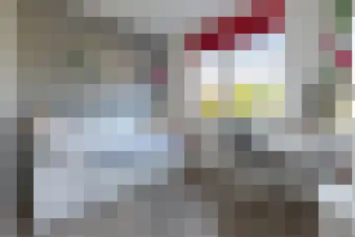 Drie Morgenland 19 Nijkerk thumbnail 26