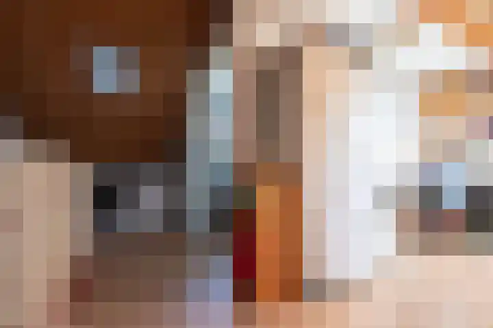 Drie Morgenland 19 Nijkerk thumbnail 31