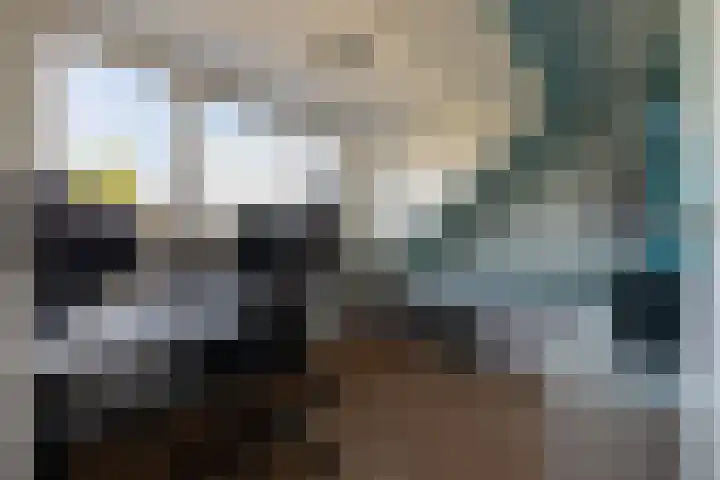 Drie Morgenland 19 Nijkerk thumbnail 33
