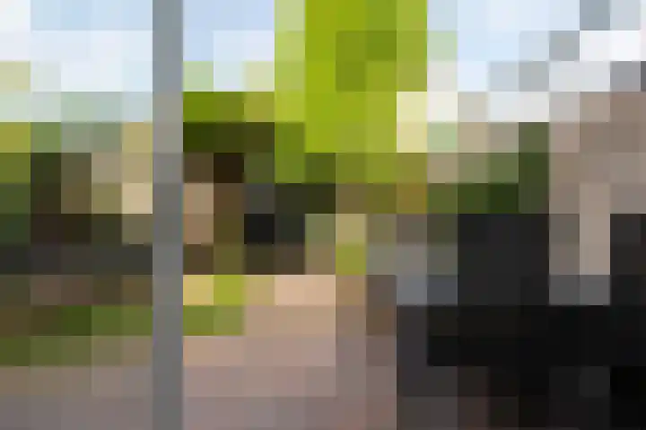 Drie Morgenland 19 Nijkerk thumbnail 34